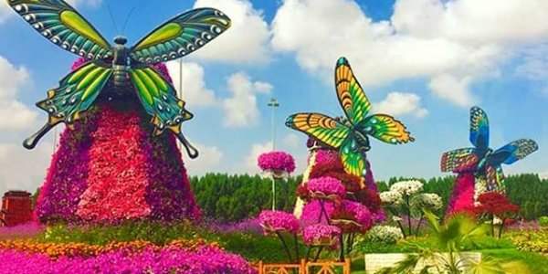 Butterfly & Miracle Garden