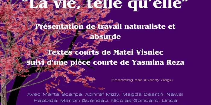 AF - Théâtre « La vie, telle qu'elle »